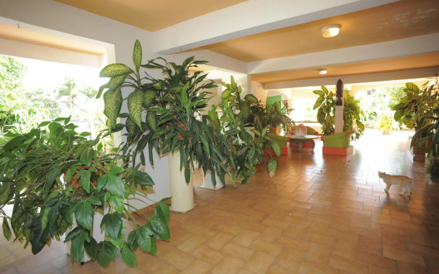 Au Domaine Des Bougainvilliers