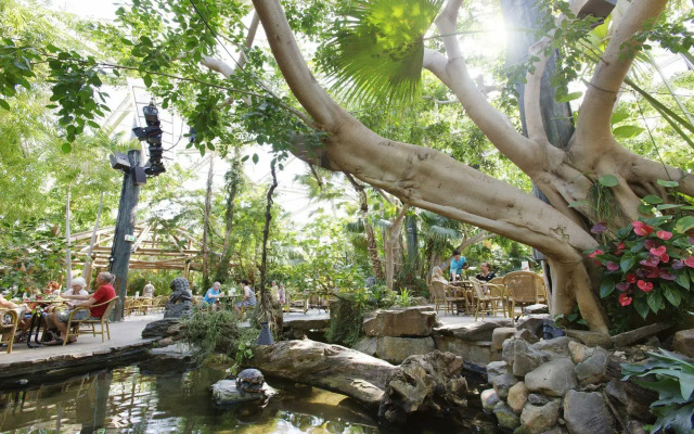 Center Parcs De Kempervennen