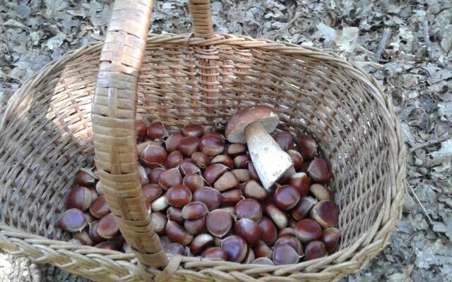 Apartamentos Turísticos Casa dos Pulidos