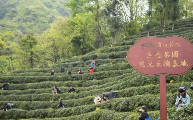 Yinxiu Shangting Hotel