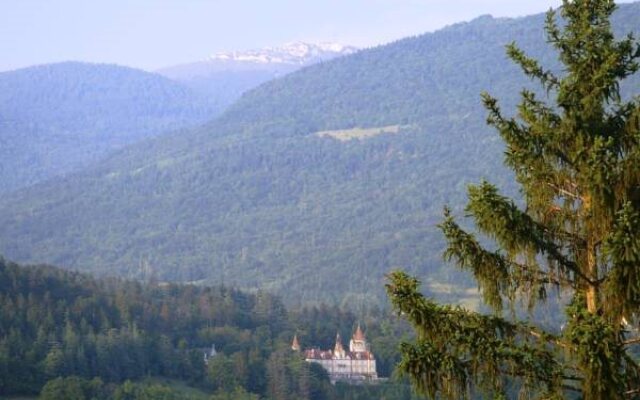 La Demeure du Fierloz