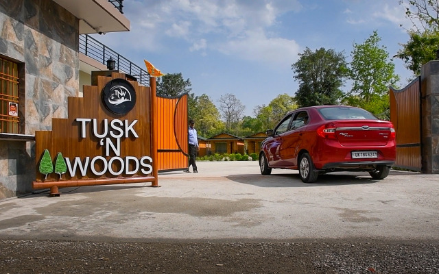 Pumpkin Hotel's Tusk N Woods