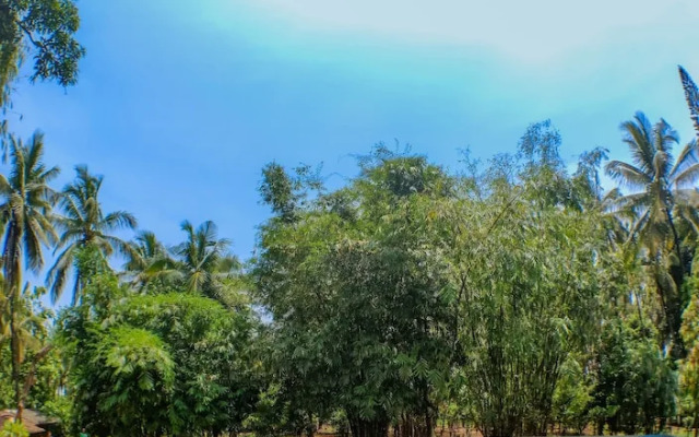 The Orchard Resort