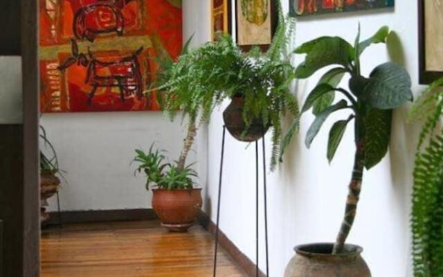 Casa Macondo Bed & Breakfast