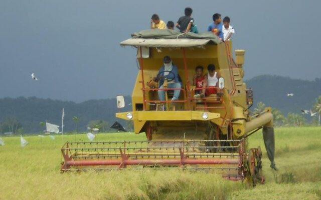Taun Gusi Village Homestay