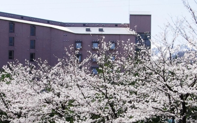 Hotel Kunitomi Annex — 3-star hotel in Itoigawa