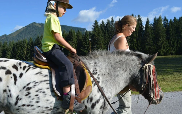 Spacious Holiday Home in Niedernfritz with Private Terrace