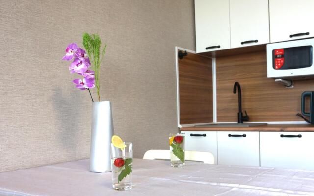 Мои Апарты на улице Труда