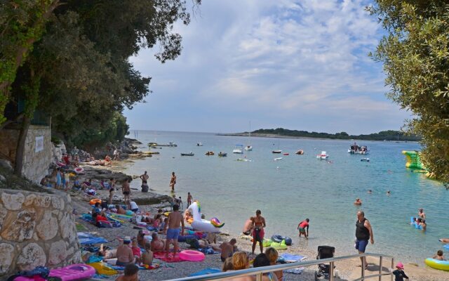 Apartments Davor