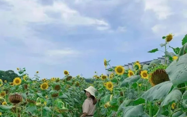 Shenxianju Yue Resort hotel