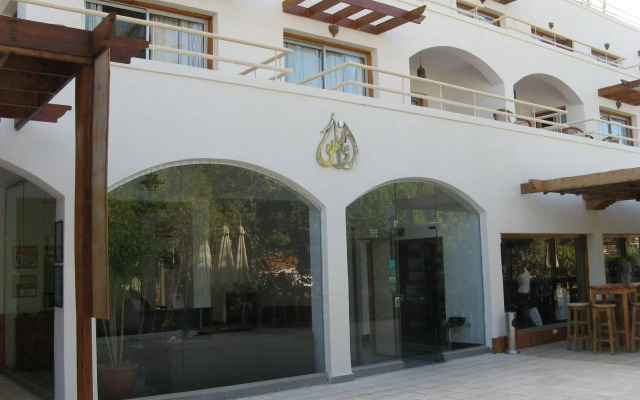 Oonas Dive Club