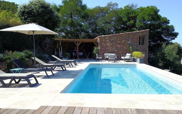 Au pied des oliviers