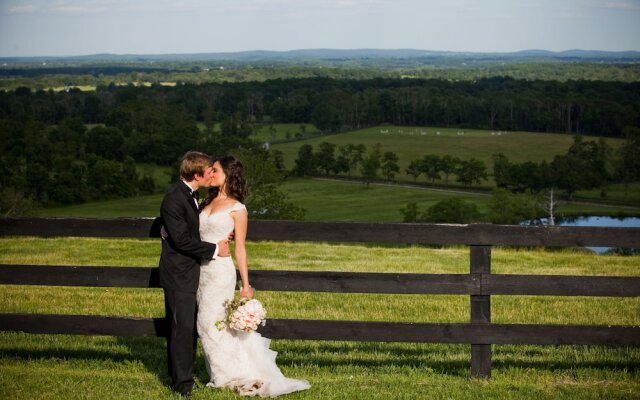 Weddings at Highholdborne