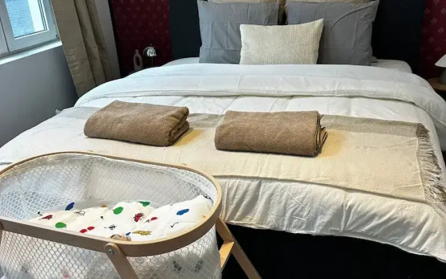 Stylish 1BR plus LR Apt Ghent Castle