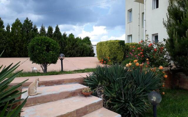 Villa Byala Grape House