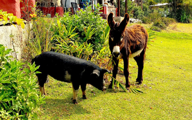 Reencuentro Rancho & Eco-Hotel