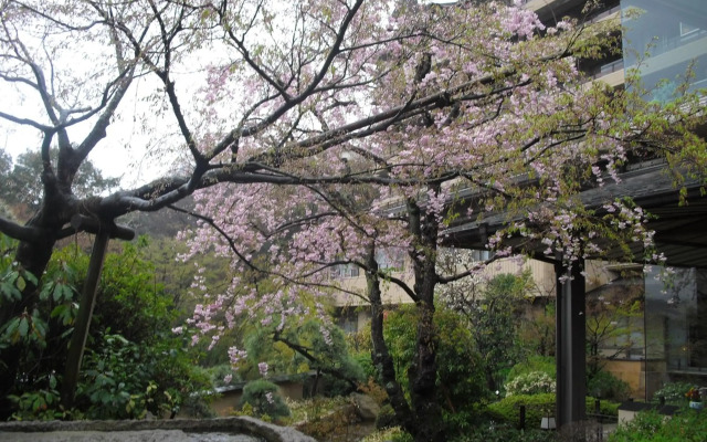Seizan Yamato
