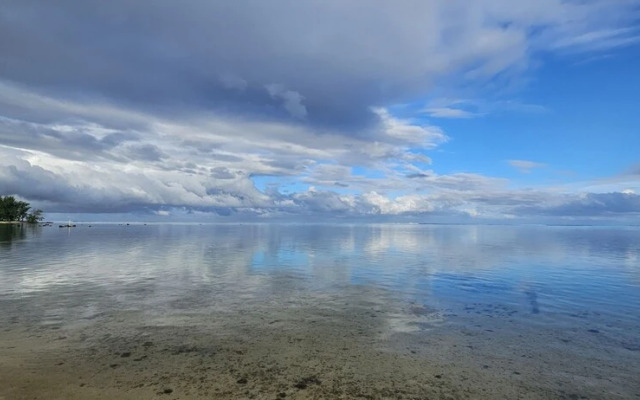 Moorea - Tropical Nest