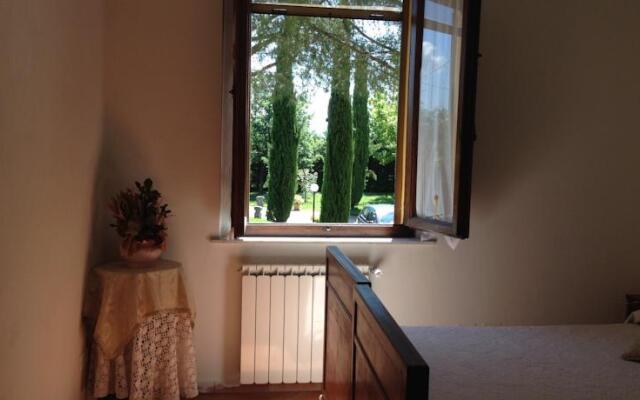 I Girasoli di Valentina