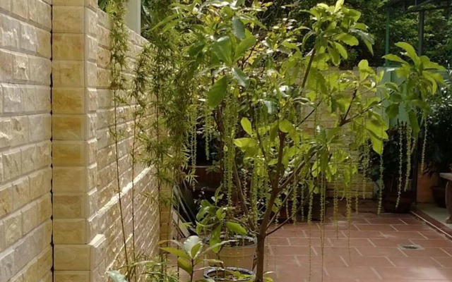 Hi Hop Yen Homestay