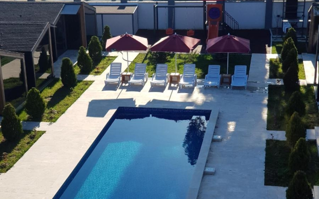 Черный слон Каштак (Сухум)