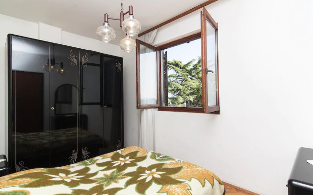 Apartments Franko 234