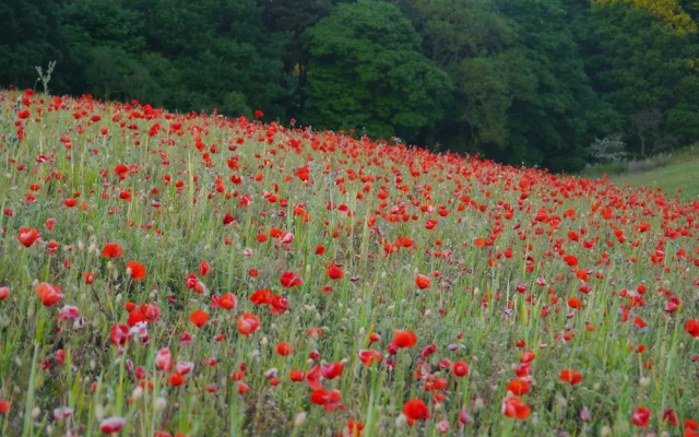 Riding Farm Cottages