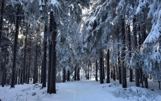 Útulný apartmán v blízkosti Mumlavských vodopádů