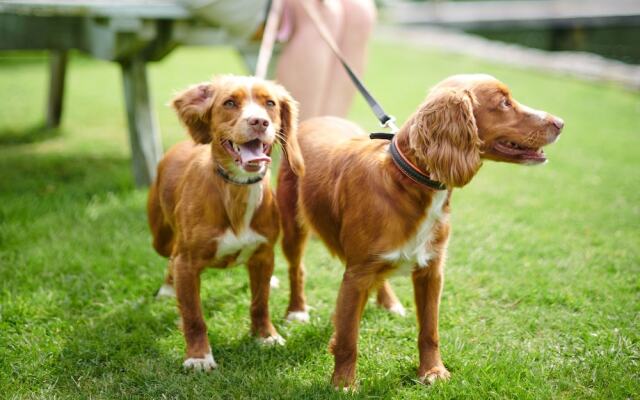 The Swan Hotel and Spa