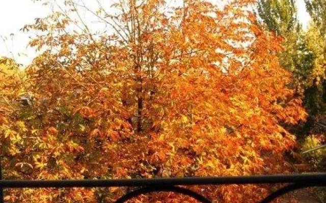 Locanda Andrea da Carlo