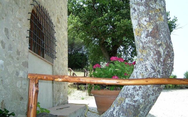 Bellavista farm of Quercini Maurizio