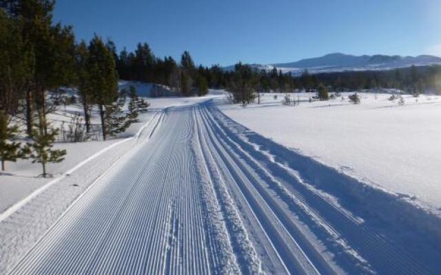 Sjodalen Hyttetun og Camping