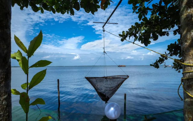 orchid lake view homestay
