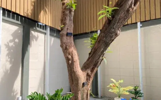 3 Brothers House BKK