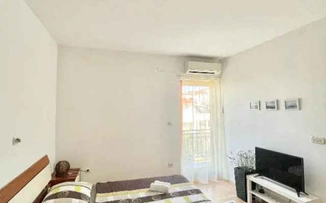 Apartment Anic Milic