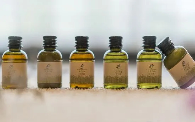 Wuyun Fengsheng Holiday Hotel