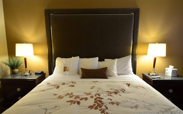 Holiday Inn Orlando East - UCF Area by IHG