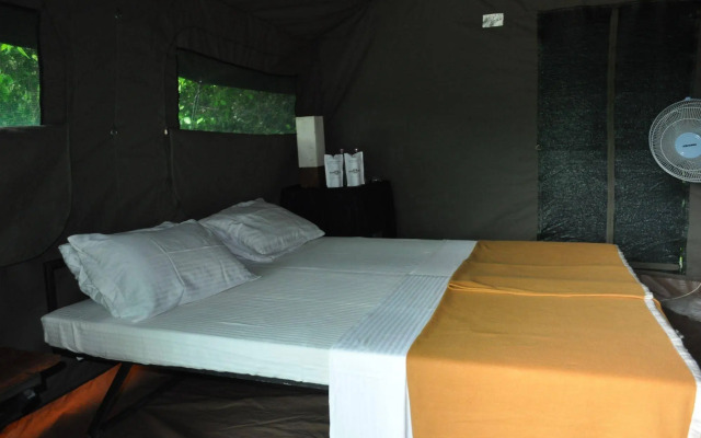 Explorer by Eco Team - Wasgamuwa National Park