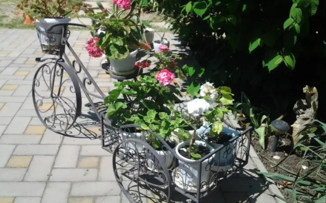 Guest House Anastasiya