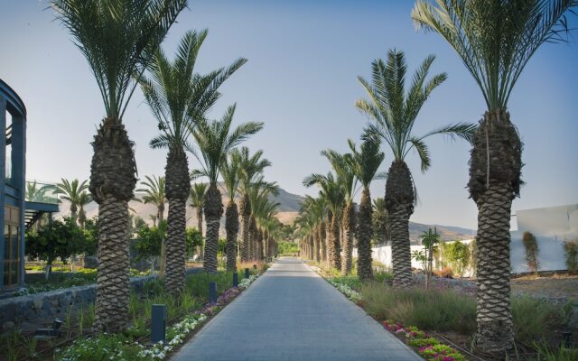 The Setai Sea of Galilee