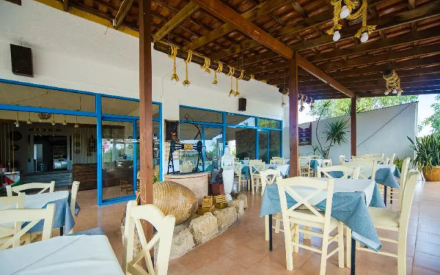 Sea Harmony Studios
