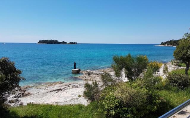 Buric House - Apartment Vintage