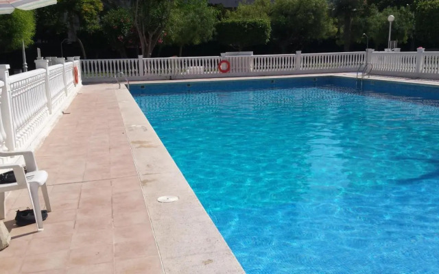 Palmeral de Torrevieja