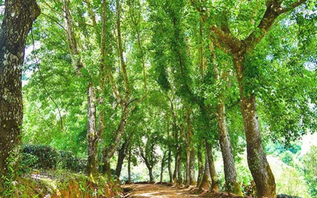 Baan See See Moutain View