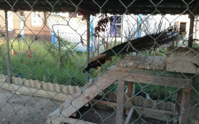 Rajskij Ugolok Guest House