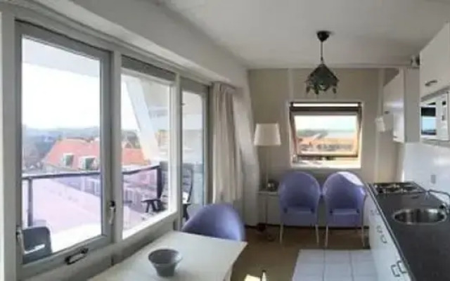 Apartment With Dunes View of Petten