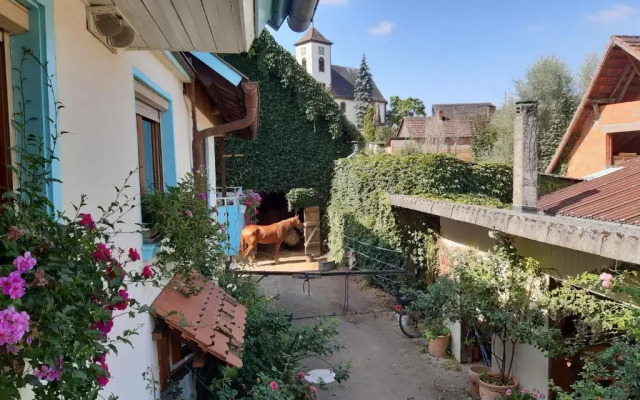 Rosenhof Broggingen