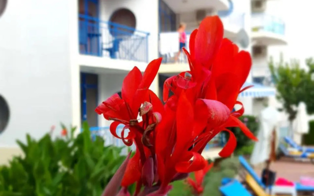 Sveti Vlas Marina Beach B40