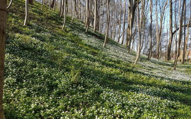 Ferienwohnung 10 im Haus Hühnergott