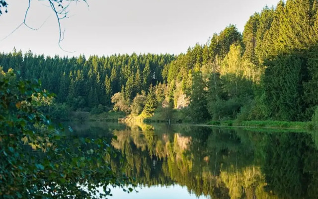 You Will Like This Home in the Harz Mountains